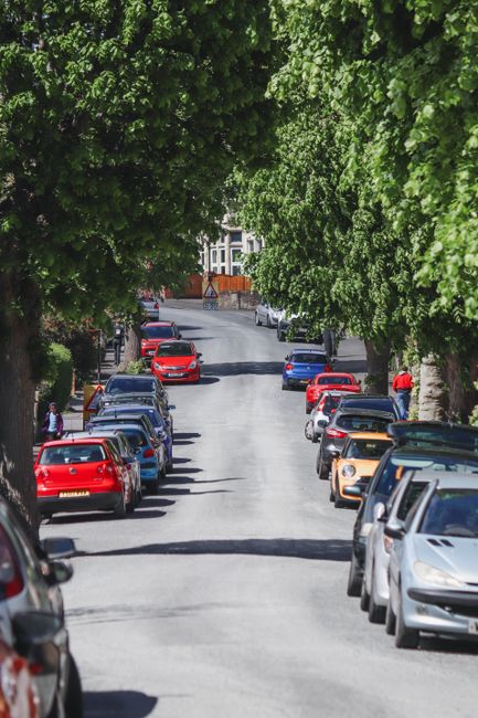 A residential street lined with parked cars on both sides, including a red hatchback, a black SUV, and a silver sedan. The street is shaded by lush, green trees overhead, creating a canopy of foliage. In the background, a person in red clothing is walking along the pavement, and a building with multiple windows is partially visible beyond the tree line. The scene is outdoors during daylight with clear weather. This setting illustrates an urban environment where vehicle parking and pedestrian activity are common, relevant to the context of house removals and moving services provided by Man with Van Sydenham Hill.