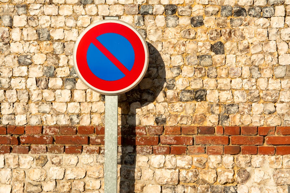 A circular no parking sign with a blue background and a red border is mounted on a grey metal pole, positioned against a textured brick wall constructed of tan, cream, and dark brown stones with a horizontal strip of red bricks running through the middle. The sign casts a distinct shadow on the wall, indicating bright sunlight. This scene is associated with parking restrictions often relevant to house removals and moving services, such as those provided by Man with Van Sydenham Hill. The sign's placement suggests it is in an outdoor area, possibly on a street or near a driveway, where parking limitations are enforced to facilitate furniture transport, home relocation, or loading processes for removals.