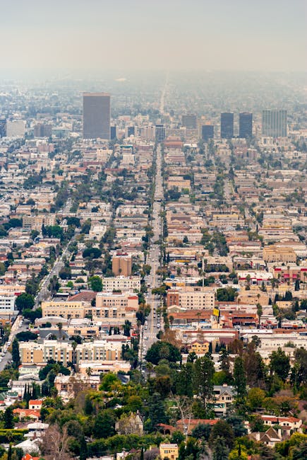 Aerial view of an urban residential area with a grid-like street layout, featuring numerous low-rise buildings, houses, and apartment blocks, interspersed with trees and green spaces. In the foreground, a section of a home relocation process is visible, showing a man with a tool belt, lifting a medium-sized cardboard box wrapped in plastic and surrounded by other moving boxes, some with packing tape and bubble wrap. The boxes are placed on a driveway or pavement area adjacent to a house, with a vehicle and moving blankets nearby. The environment appears bright and clear, with natural daylight illuminating the scene, and the background stretching to the horizon revealing taller buildings and city skyline. This setting is consistent with professional furniture transport and packing services provided by Man with Van Sydenham Hill during a house or estate removal operation, aligned with the context of the Norwood Grove and Westwood Hill estate removal guide.